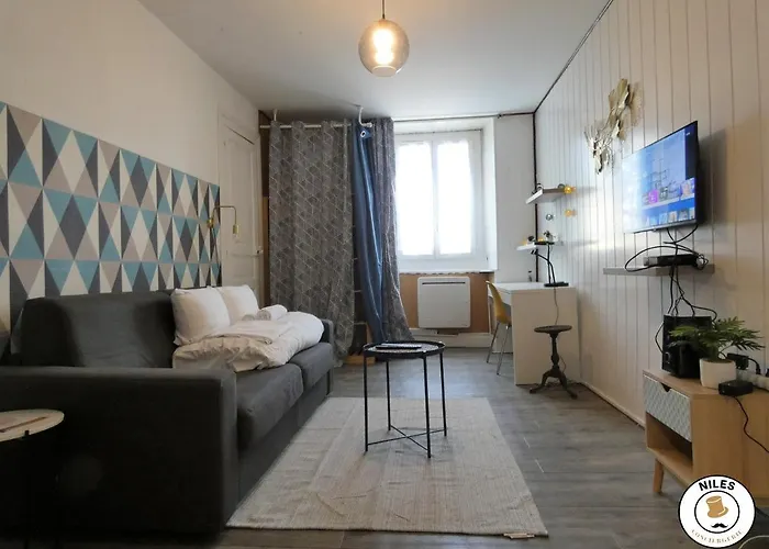 Ausommet - Ideal Pro Ou Couple - Centre De Pau