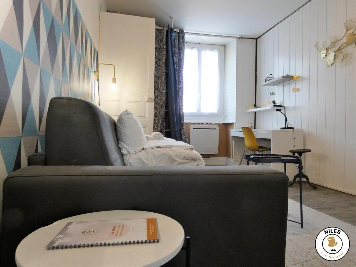 Ausommet - Ideal Pro Ou Couple - Centre De Pau