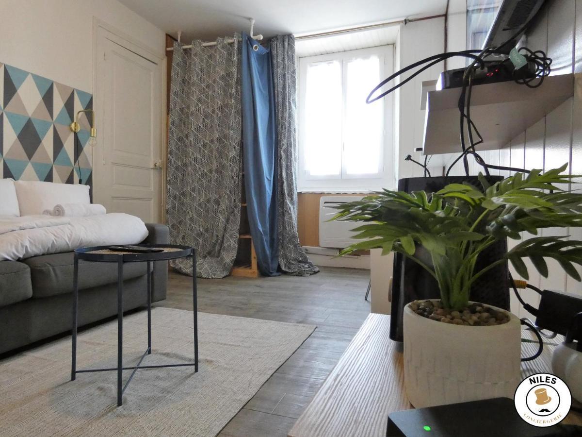 Ausommet - Ideal Pro Ou Couple - Centre De Pau